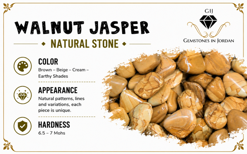 حجر الجاسبر الجوزي Walnut Jasper الطبيعي بألوان بنية وبيج
